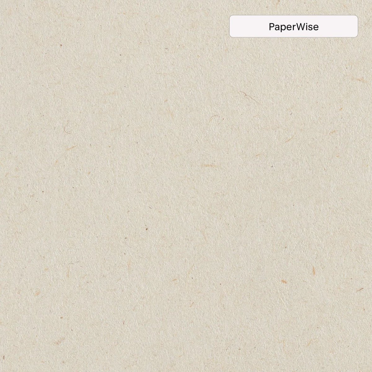 paperwise envelop