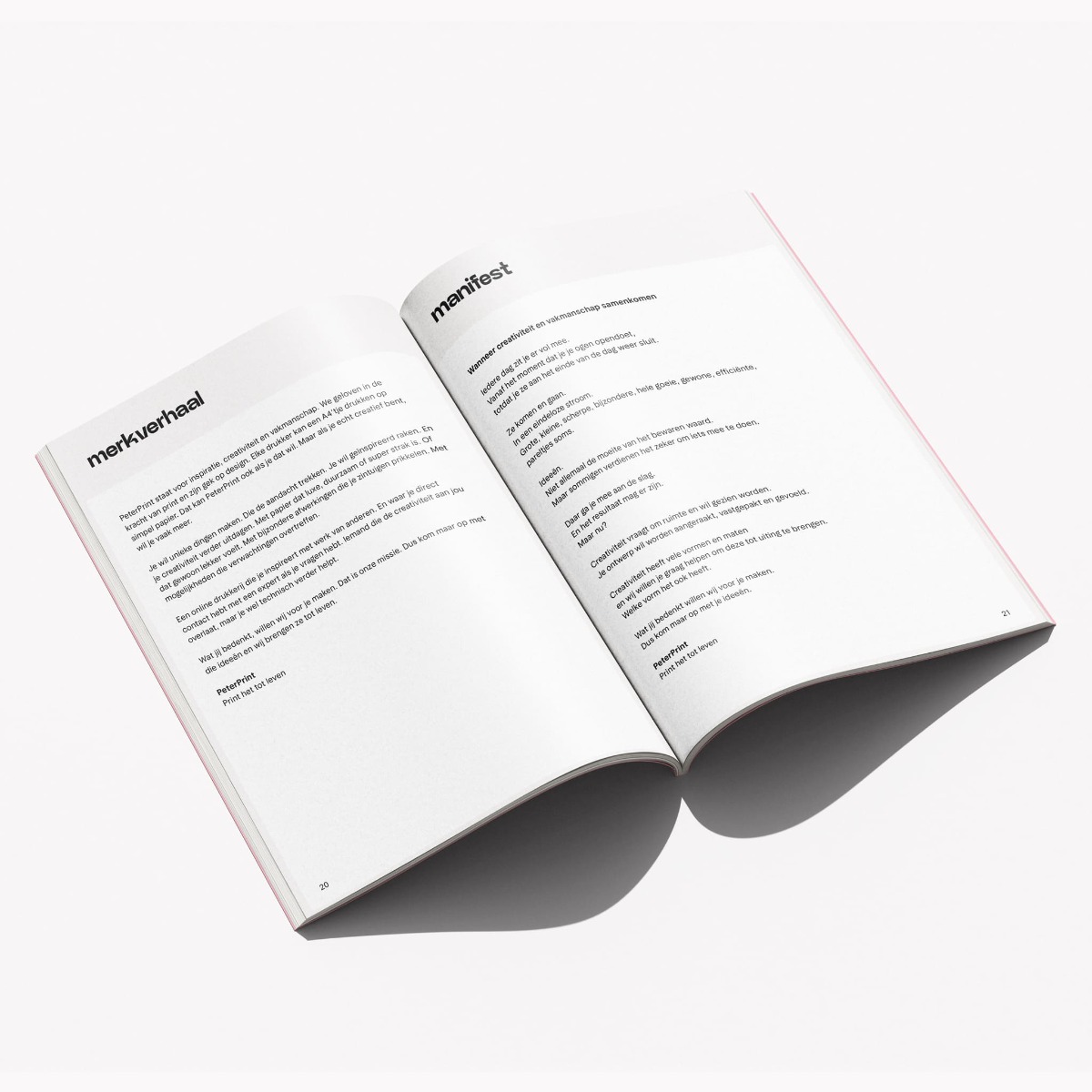 huisstijlhandboek peterprint manifest